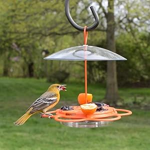 Nature's Way OFP1 All-in-One Oriole Buffet Bird Feeder, Orange