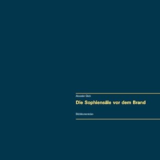 Die Sophiensäle vor dem Brand. Vollständiger R