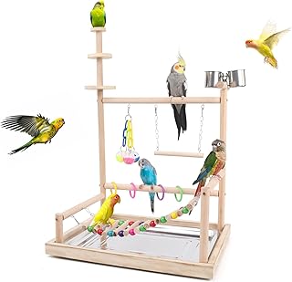 Wooden Bird Playstand-Sturdy Stable and Safe Parrot Play Gym for Parakeets African Grey Conures Cockatiels Cockatoos Parrotlets and Finches, Easy Assembly Includes Colorful Toys and Perch