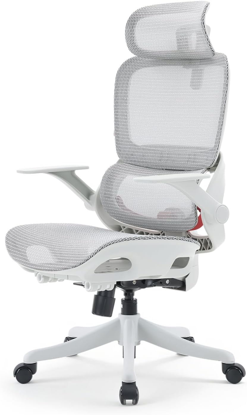 SIHOO B100 Office Chair, Mesh Chair, Ergonomic, Anti-Fatigue, Independent Lumbar Support, 2D Armrest, 2D Headrest, 133° Reclining, PC Chair, Computer, Work Office Chair, Breathable, Office, Home Work