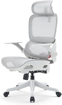 SIHOO B100 Office Chair, Desk Chair, Mesh Chair, Ergonomic, No Fatigue |   2D  2D  133  pc