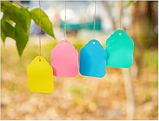 Waterproof Tags with String, Plant Labels Plastic Reusable Plant Labels Hanging Marking Tags for Gardening,Pot, Vegetable, Herbs, Flower, Seedling, Planting Tray