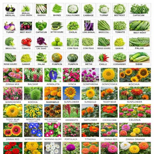 Image of 50 Variety Summer Veg & Flower Seeds Combo Pack (30 Veg + 20 Flower Seeds) | High Germination Garden Seeds Kit for Home Gardening | Suitable for Balcony, Terrace & Kitchen Garden