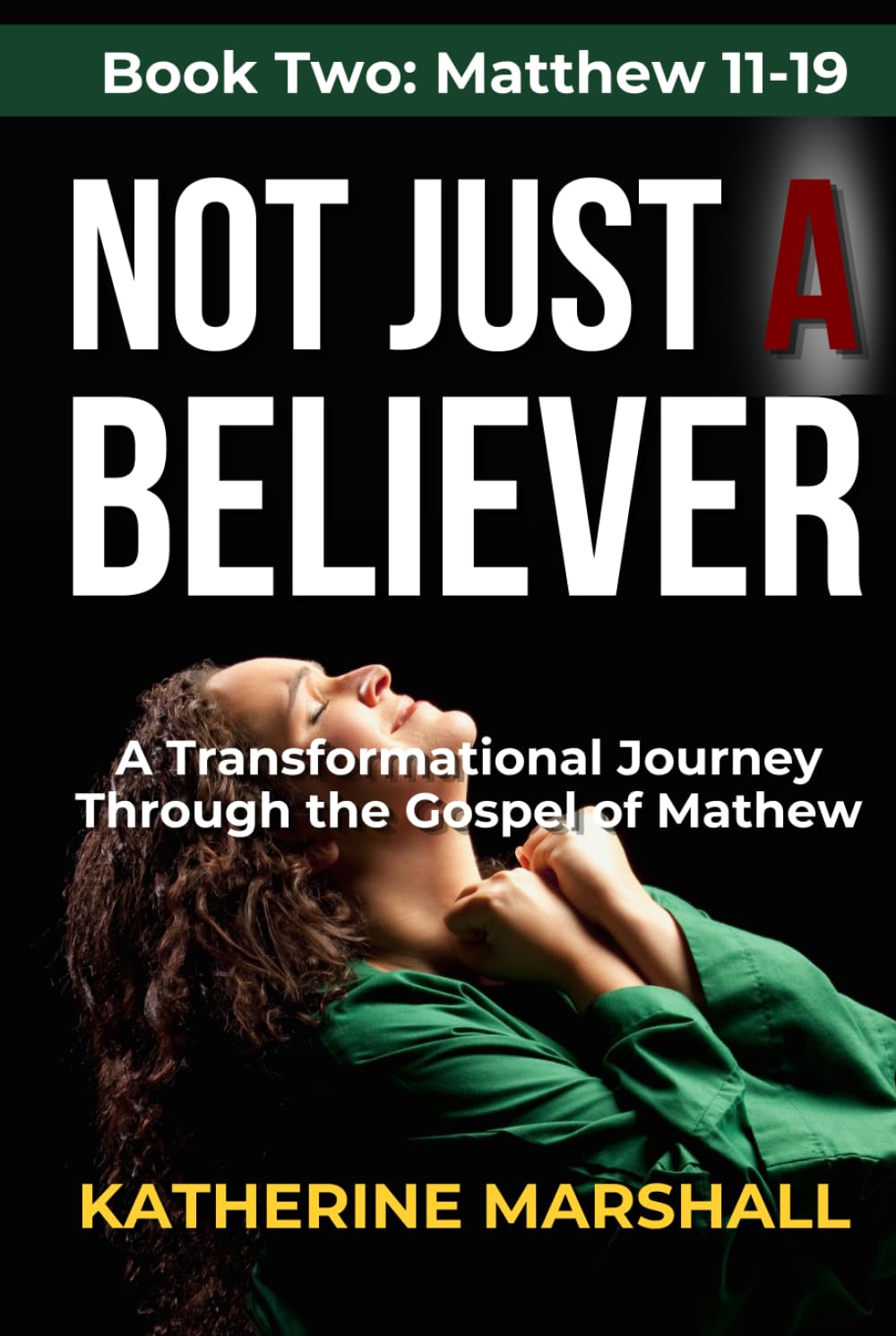 Not Just A Believer: A Transformational Journey Through the Gospel of Matthew Book Two