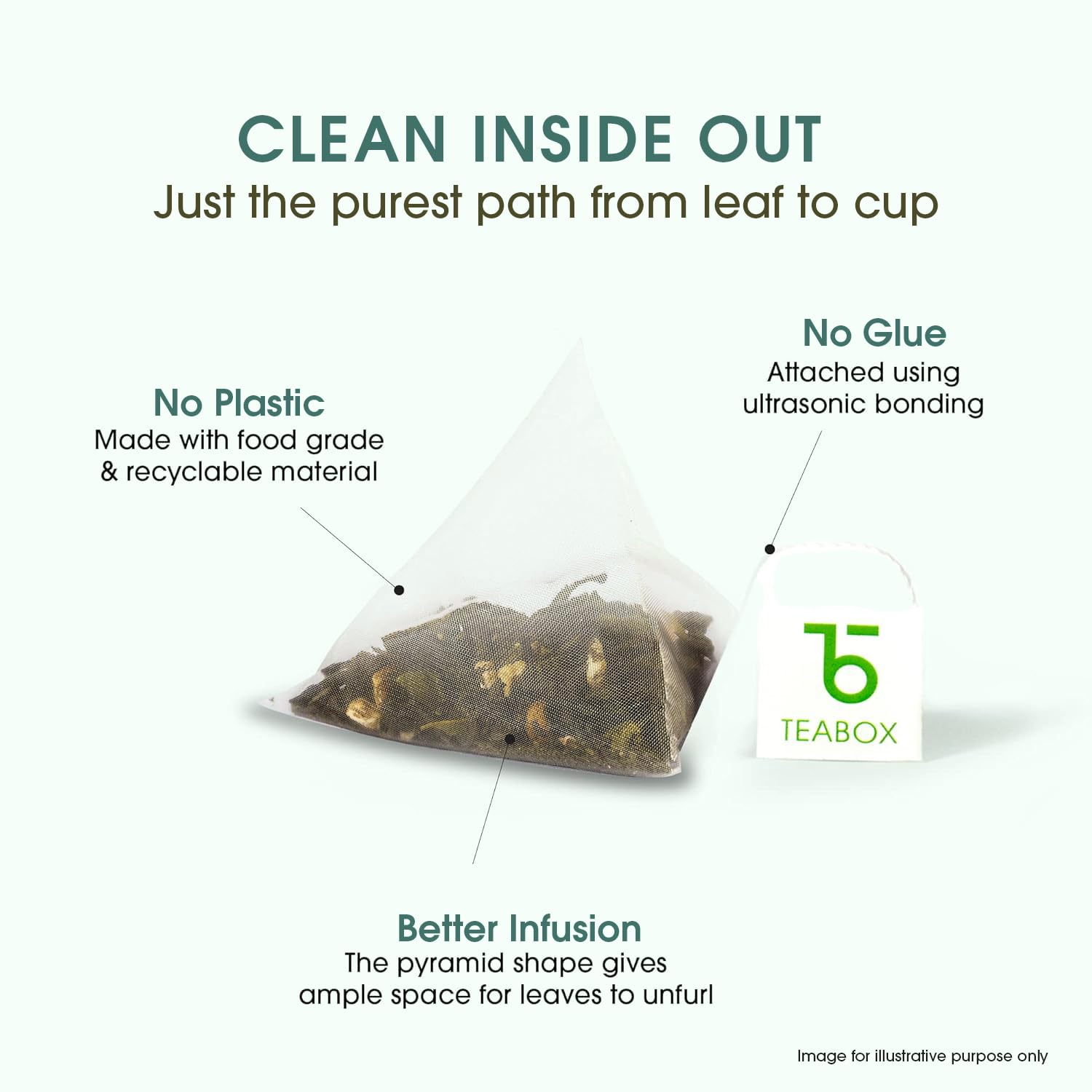 Teabox Premium Green Tea With Dandelion Roots | Whole Leaf & 0% Bitterness | Green Tea From The Himalayas | 25 Tea Bags (Low Caffeine) 2