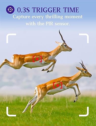 Miniatura 2 de Paquete de 2 cámaras para juegos y senderos de ciervos para exteriores camuflaje sin brillo visión nocturna de 24 MP 1296 P video MP4 para caza de