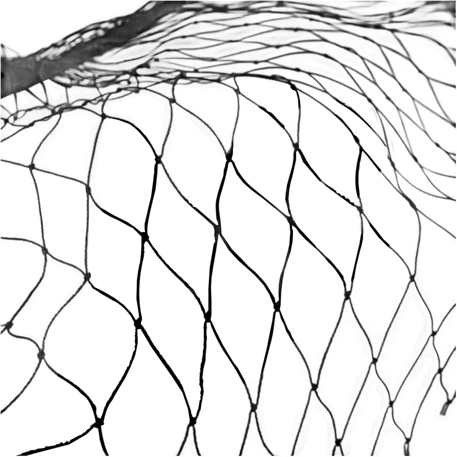 Nylon Anti Bird Netting Nylon Bird Netting Mesh Hawk Protective Chicken Coop 25 X 50 FT Fruit Tree for Vegetables Poultry Reusable Garden