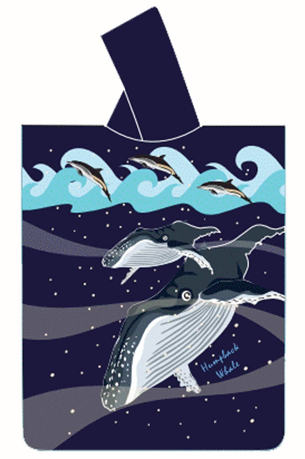 Oceanarium Poncho (Ballenas Jorobadas)