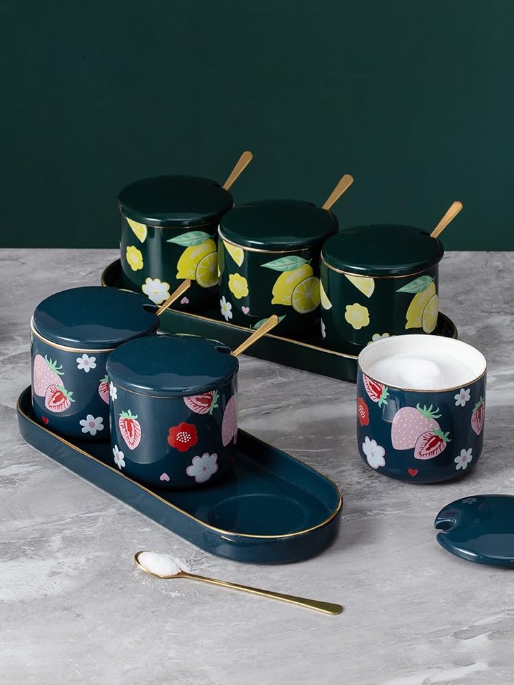 CMBSSTFC Barattoli per condimenti, Contenitore per Sale da Cucina, pentole Bottiglia per spezie in Ceramica Set Barattolo per condimenti Combinazione Scatola per condimenti Set barattoli per
