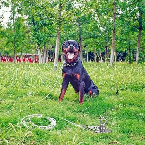 Lifeswell Bodenanker Hund Erdanker Hundeleine - 38CM Erdschrauben für Hunde Bis zu 100KG Kein Verheddern Hof Strand Rasen Outdoor bis große Anlegepflock für Hof und Camping Hundeläufer