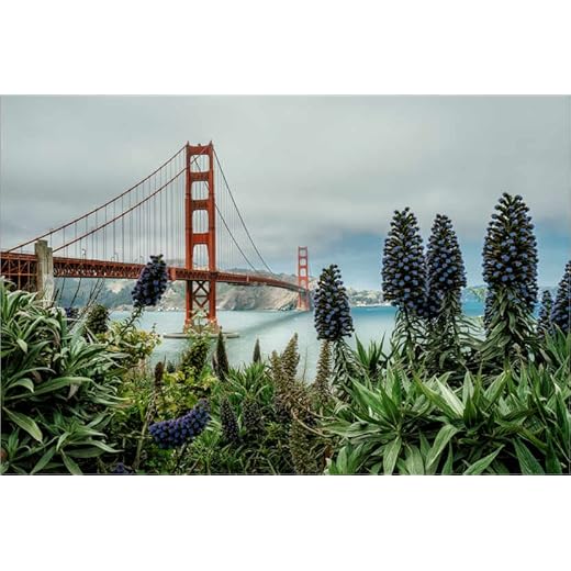 Golden Gate Bridge, San Francisco Canvastavla av Stefan Becker Tavlor för varje rum 30 x 20 cm Sevärdheter Väggdekoration