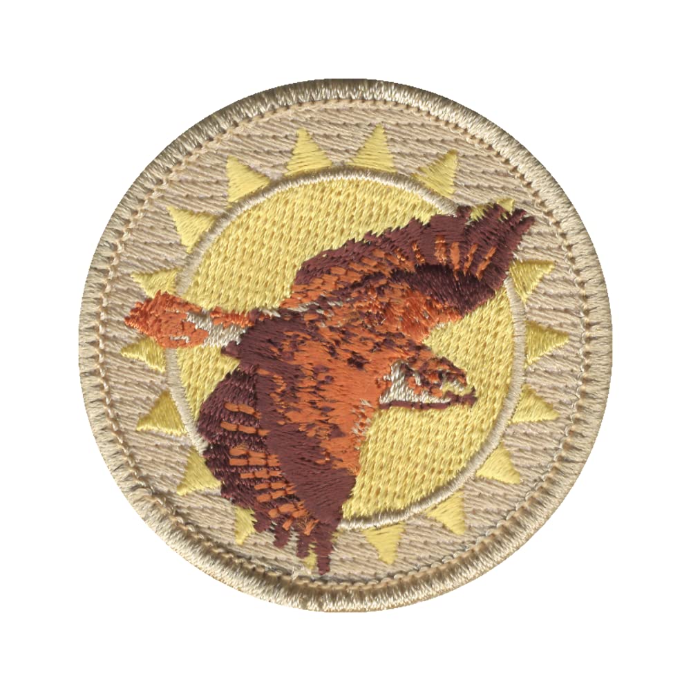 Soaring Hawk Patrol Patch