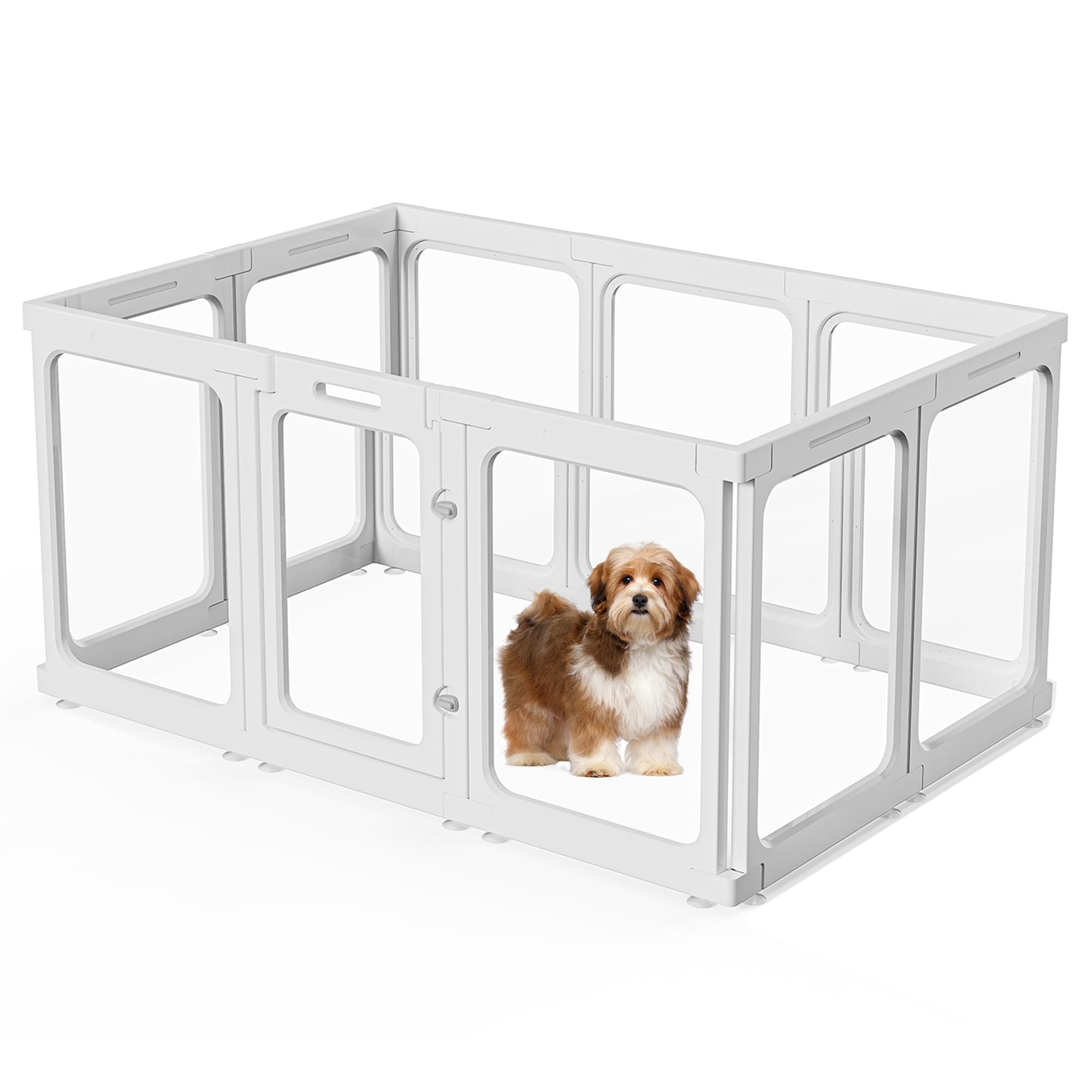 Enclos pour chiot en acrylique transparent idéal pour délimiter l'espace salon