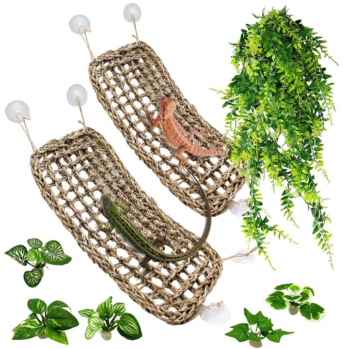 Tfwadmx 2 Pack Bearded Dragon Hammock - habitat decor | Mubboo