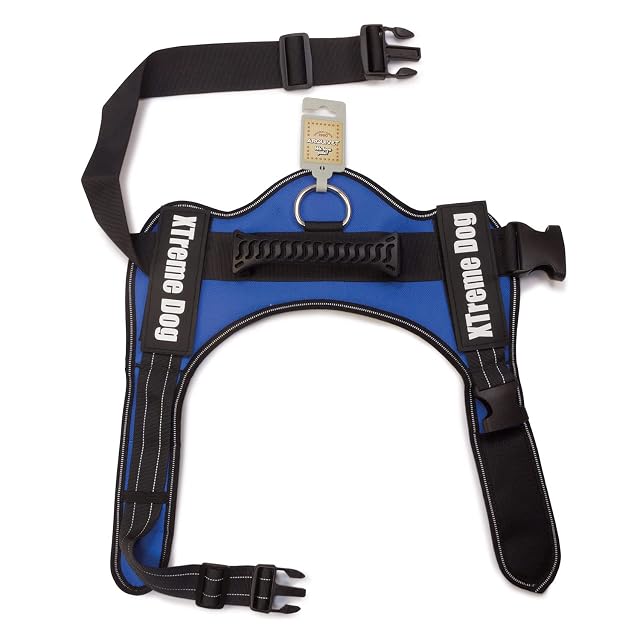 Foto 2 de 7 de Arquivet Arnés Perro Xtreme Dog Azul Talla: XS/44-57 cm