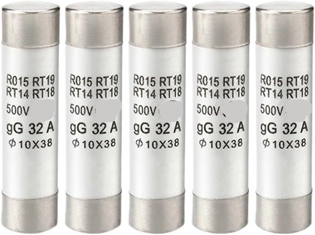 Fusibile del tubo ceramico, Fusibili ceramici ad azione rapida 10x38mm 500V 1A-32A Confezione da 10(10PCS 16A)
