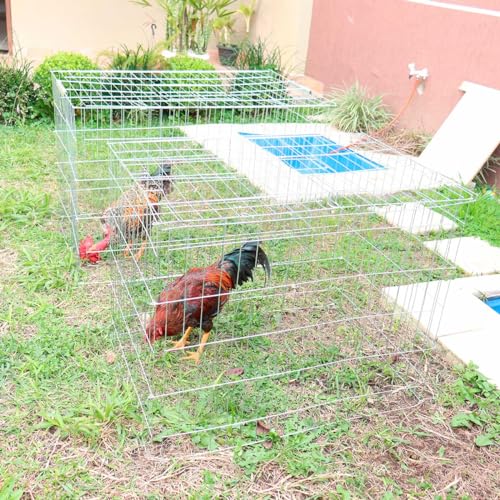 Passeador cercado para galos e outros animais - Grande