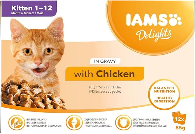 IAMS Delights Wet Food for Kittens 1-12 Months with Chicken in Gravy, 85 g (Pack of 12)