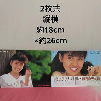 【当時物レア】南野陽子　下敷き 7枚セット　ナンノ Yahoo!オークション - 南野陽子 下敷き 当時物 レア 昭和レトロ