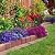OUSHENG Small Decorative Garden Fence, 10ft (L) x 16.5in (H) Fencing, Rustproof Metal Wire Panel Border Animal Barrier for Dog, Flower Plant Edging for Yard Backyard Outdoor, Square