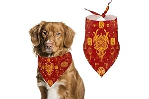 Personalized Happy New Year of The Dragon Dog Bandanas for 2024