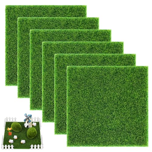 Bonsai Moos Samen - Bryophyta Moss - Sphagnum Moos, Produktbild-Vorschau 5