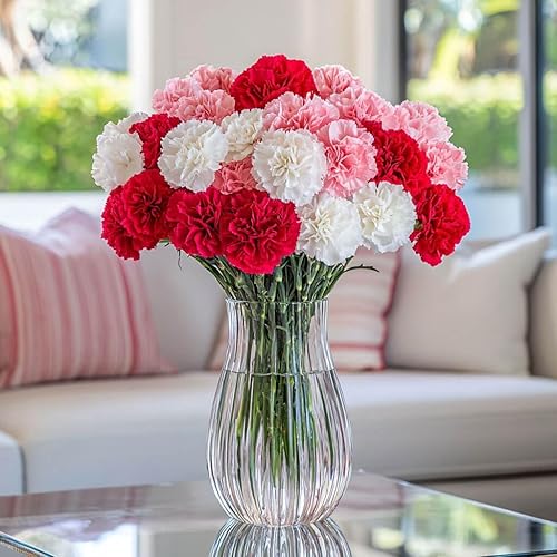 Miniatura 44 de Claveles rojos