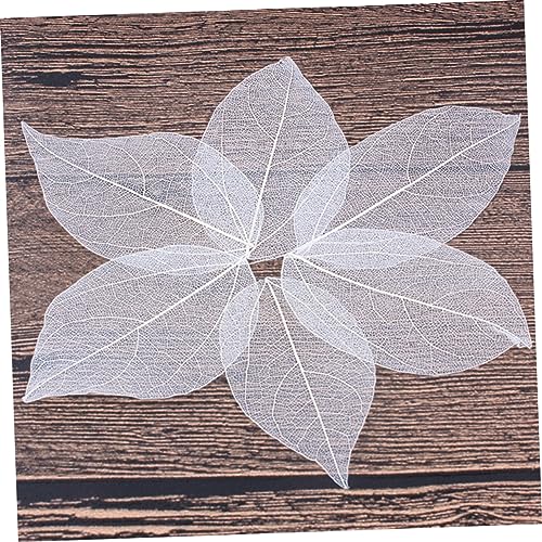 Hojas Naturales Esqueleto para Manualidades 6 piezas miniatura 3