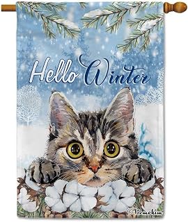 Hello Winter Snow House Flag Australian Mist Cat Cotton Stems Winter Snowflake Cotton Flowers Outdoor Yard Farmhouse Large Banner 28x40 Inch Double Sided