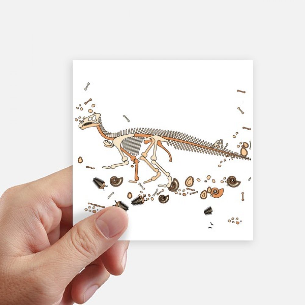 Autocollant os de dinosaure pour décorer une chambre d'enfant ou un bureau d'étudiant