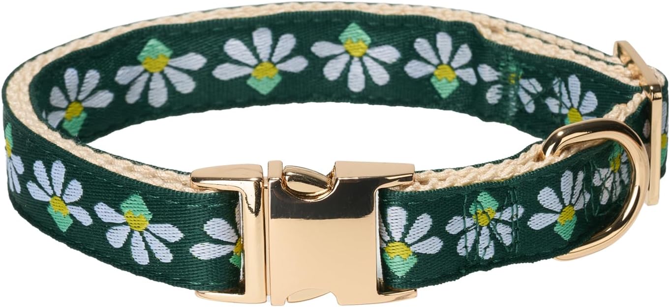 Adorable Emerald Floral Pattern Jacquard Webbing in Green Dog Collar with Soft Natural Cotton Padding and Gold Metal Buckle- Adjustable Fit for Medium Dogs
