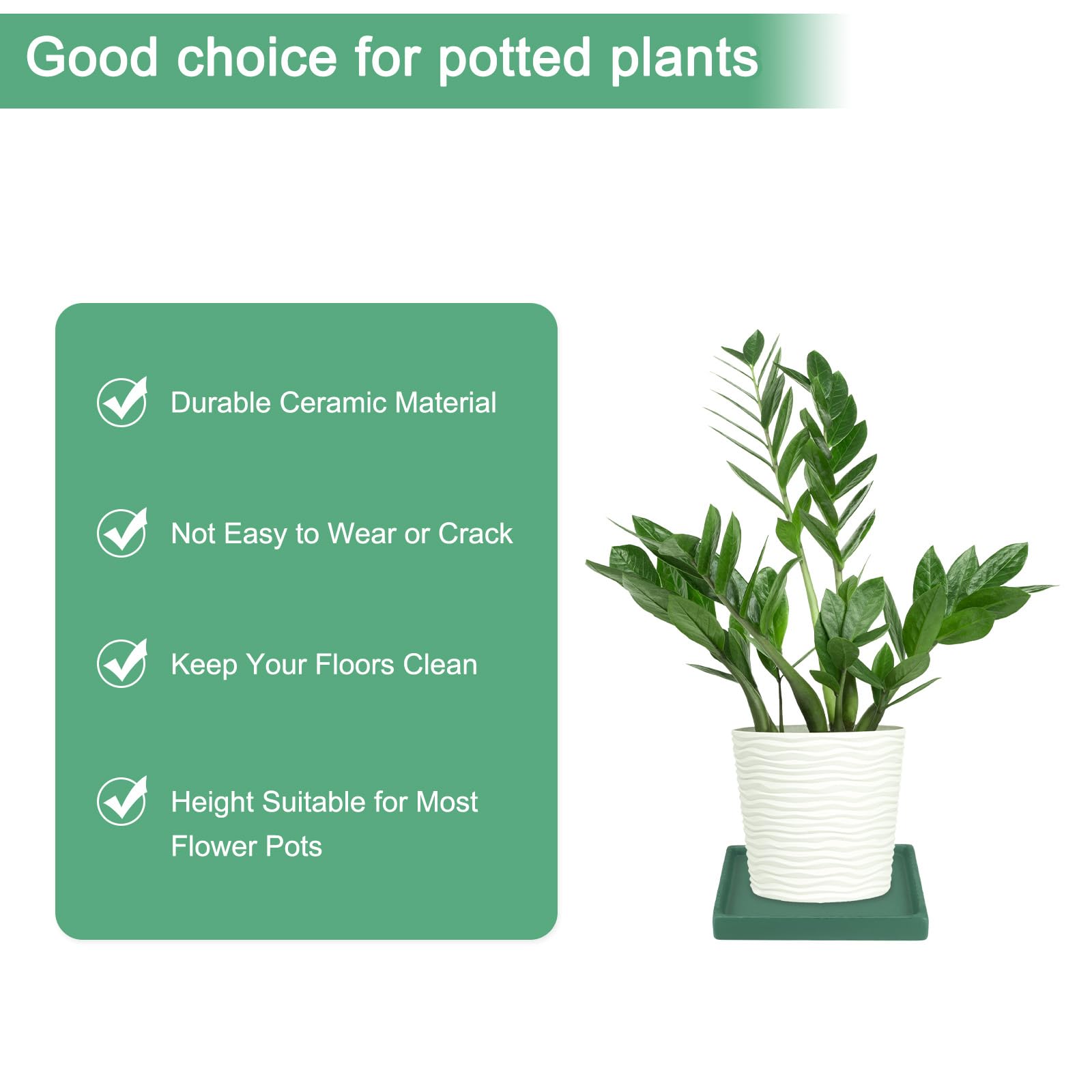 M METERXITY 2-Pack Ceramic Plant Saucer, 5 Inch Plant Water Catcher Tray - Image 3