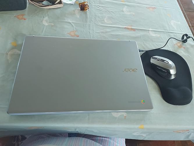 acer Chromebook 317 CB317-1H - (Intel Pentium N6000, 4GB, 128GB