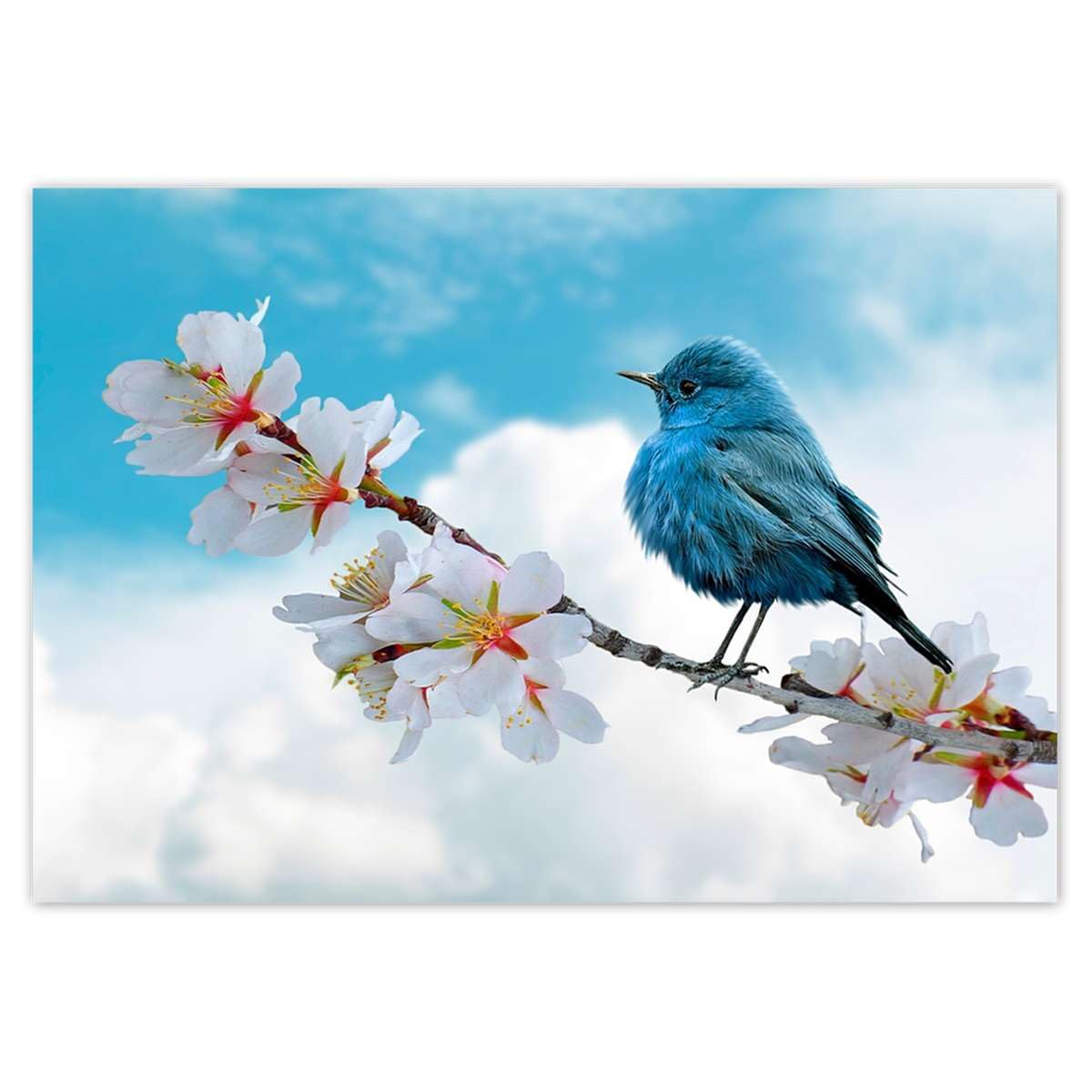 Papier peint intissé oiseau pour masquer les défauts du mur 416x290