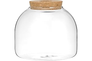 Versatile Glass Terrarium Jar with Lid