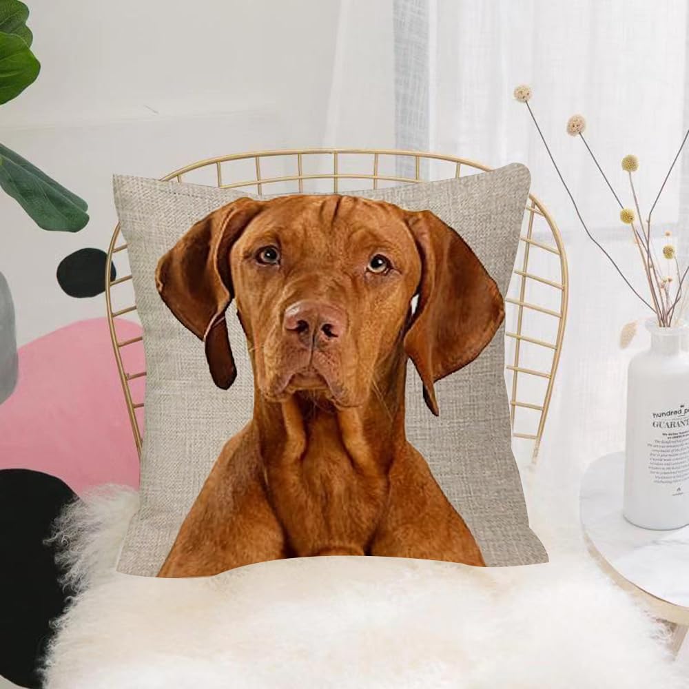 HYOSXW Cushion Cover,Throw Pillow Case Home Decorative for Living Room Bedroom Sofa Chair 16X16 Inch,Hungarian or Magyar Vizsla isolated over cream background,Pillowcase 40X40cm