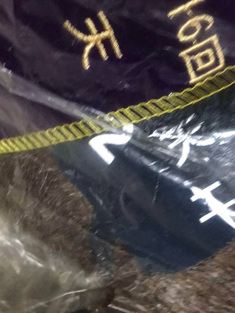 Amazon.co.jp: 競馬 競走馬ぬいぐるみエアグルーヴ第116回天皇賞AVANTI