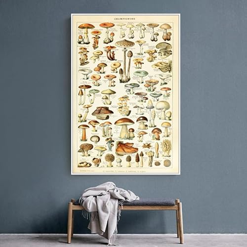 OKRA Vintage Mushroom Poster - Nature Canvas Wall Art - Champignons Identification Reference Chart - Botanical Print Rustic Home Decor for Farmhouse Kindergarten Unframed(16×24in/40×60cm)… - Image 4