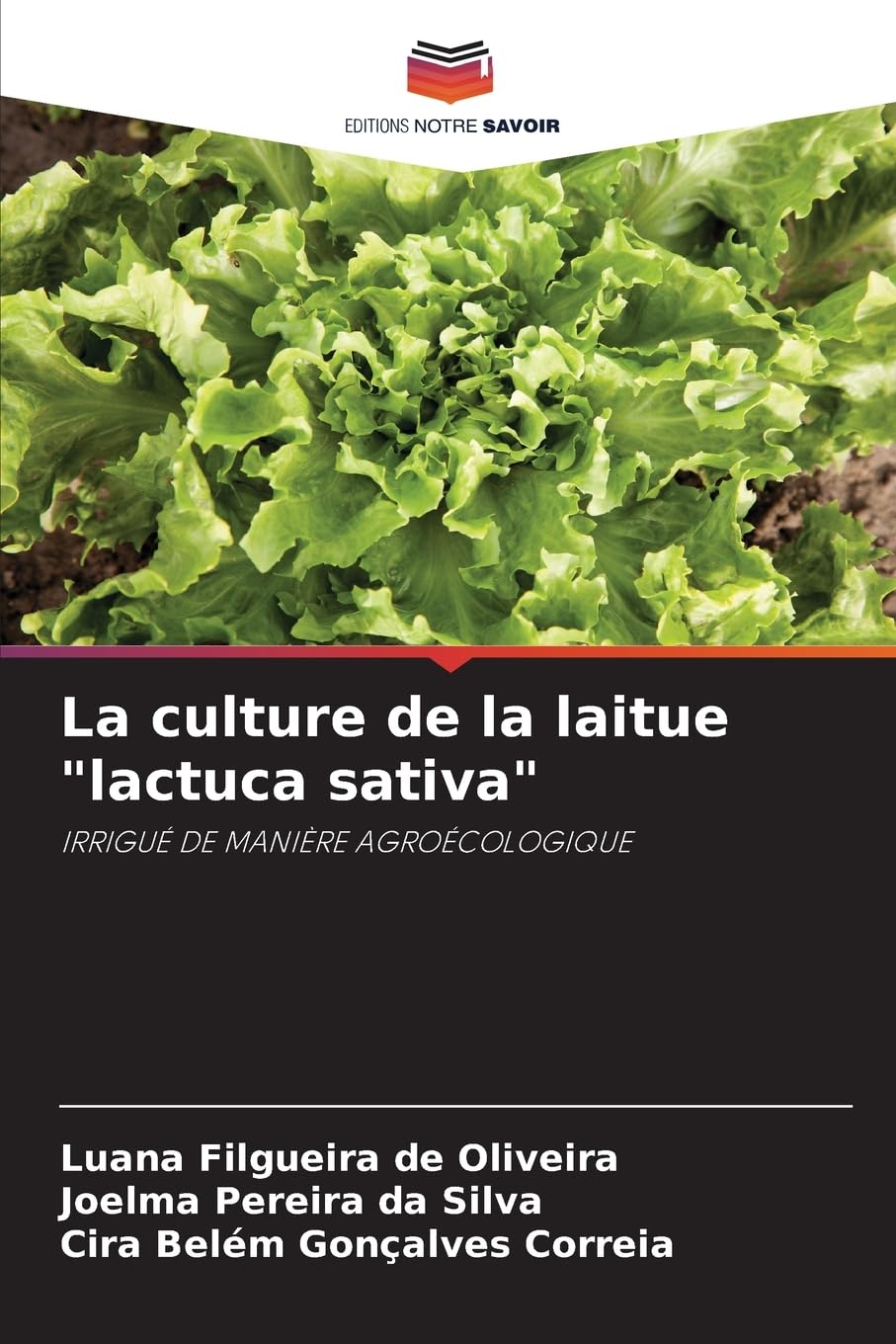 La culture de la laitue "lactuca sativa": IRRIGUÉ DE MANIÈRE AGROÉCOLOGIQUE