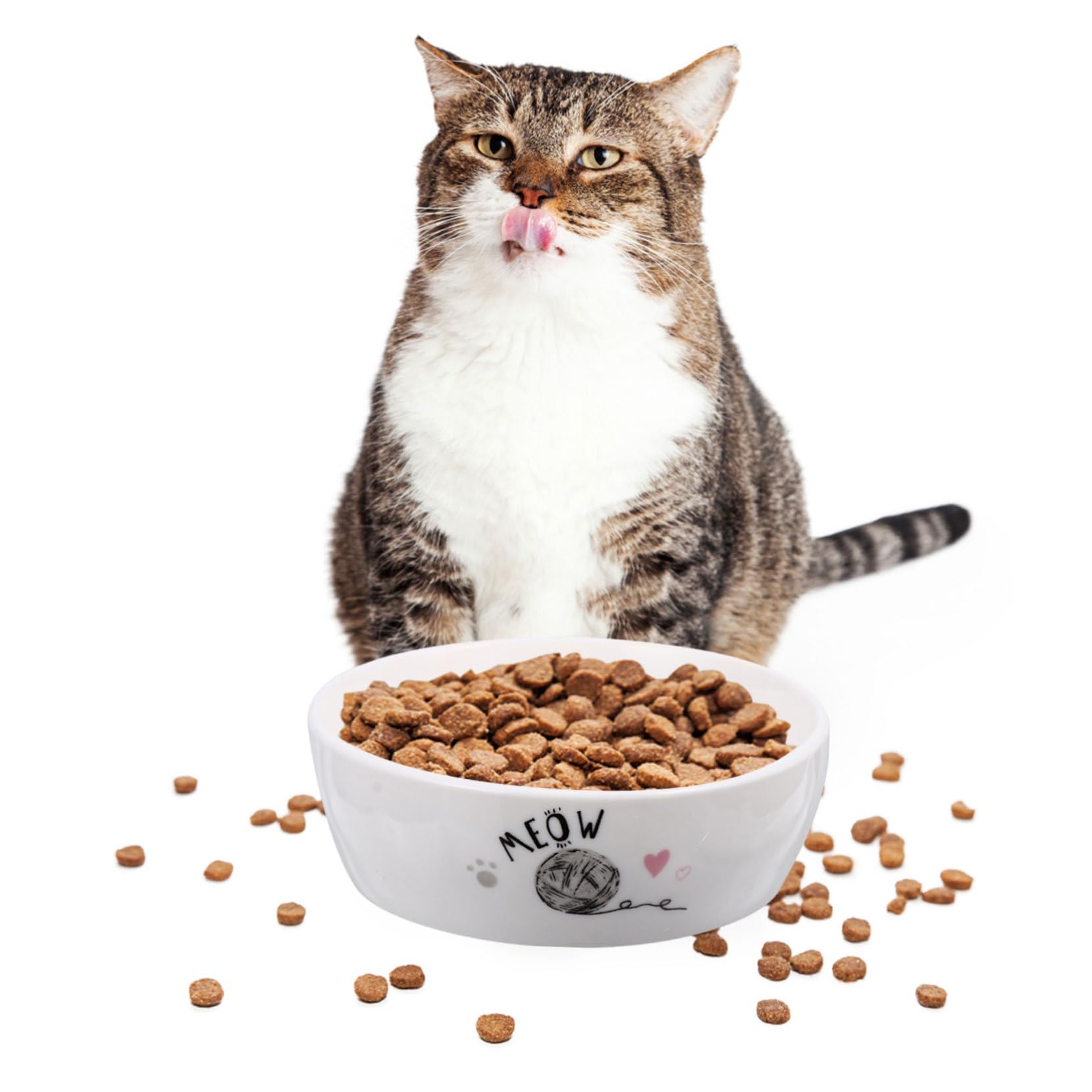 Keramik Katzennapf für Katzen und Kätzchen Leicht zu Reinigen Sicher Weiß für Täglichen Futterbedarf Zufälliger Stil