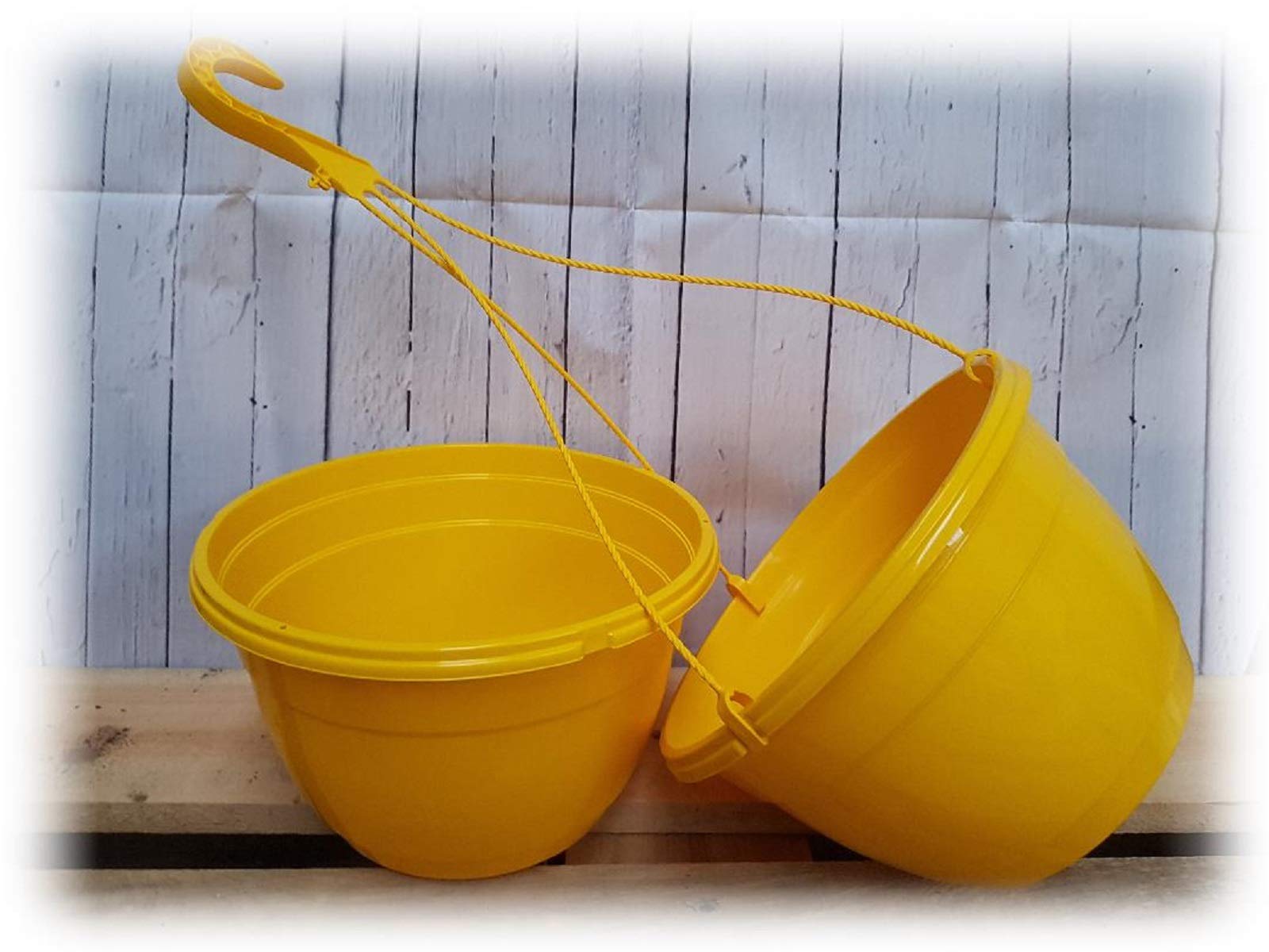 27cm Coloured Hanging Baskets by Pretty Wild Seeds Yellow Red White Pink Orange Purple Grey Green (2 Yellow Baskets)