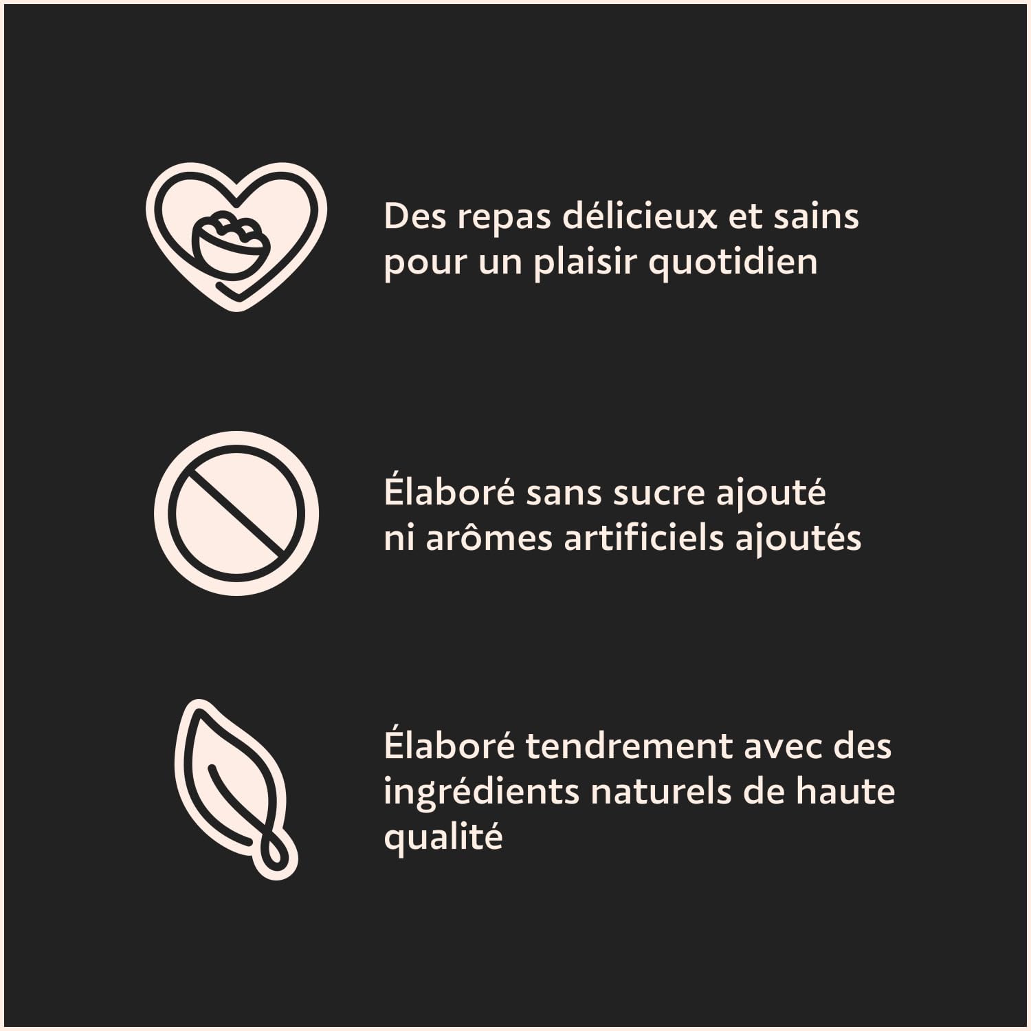 Cesar Repas pour Chien - 24 Barquettes (Lot de 6 Packs de 4x150g) - Pâtée pour Chien en Terrine au Coeur de Légumes - au Boeuf/Poulet/Volaille/Dinde, avec des Ingrédients Naturels