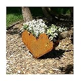 ✅Breite 37 cm - Höhe 28 cm - Tiefe 12 cm - Material 1 mm -