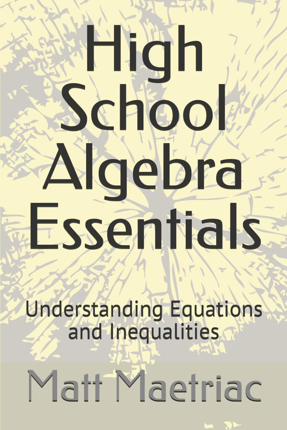 High School Algebra Essentials: Understanding Equations and Inequalities