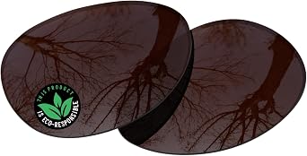 Raydi Polycarbonate Replacement Lenses for RayBan Erika RB4171 54mm Round Sunglasses