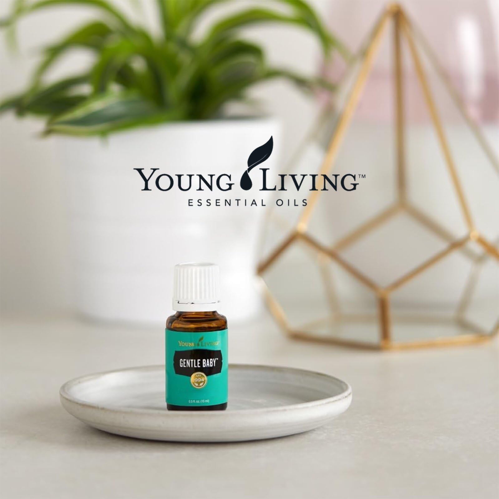 Amazon.com: Young Living Gentle Baby Oil Blend | 15ml | Gentle