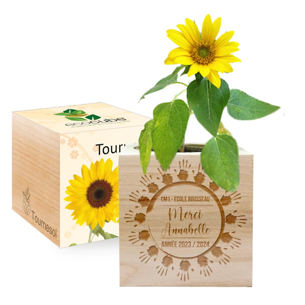 EcoCube Petites Mains remercier maître maîtresse fin d'année Cadeau éco-responsable Tournesol