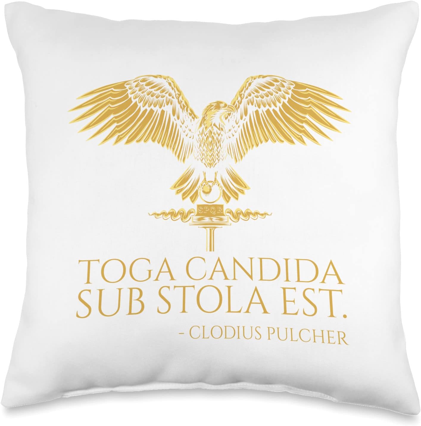 Ancient Rome Latin Joke - Toga Candida Sub Stola Est - SPQR Throw Pillow