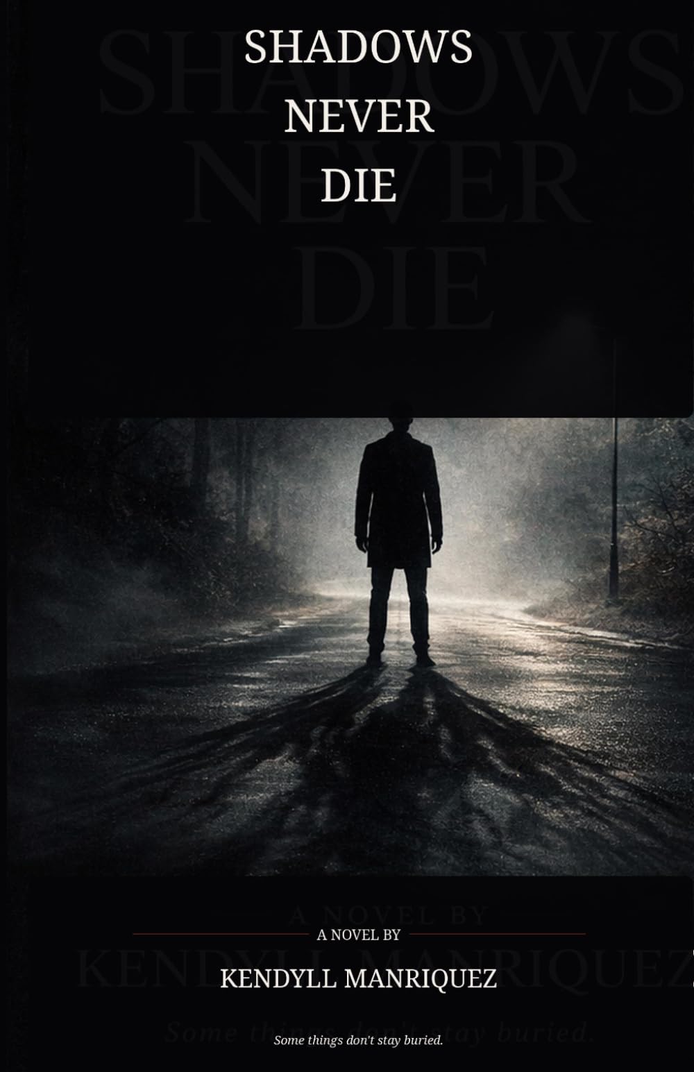 Shadows Never Die: Some Things Don't Stay Burried (The Watching Shadows series)