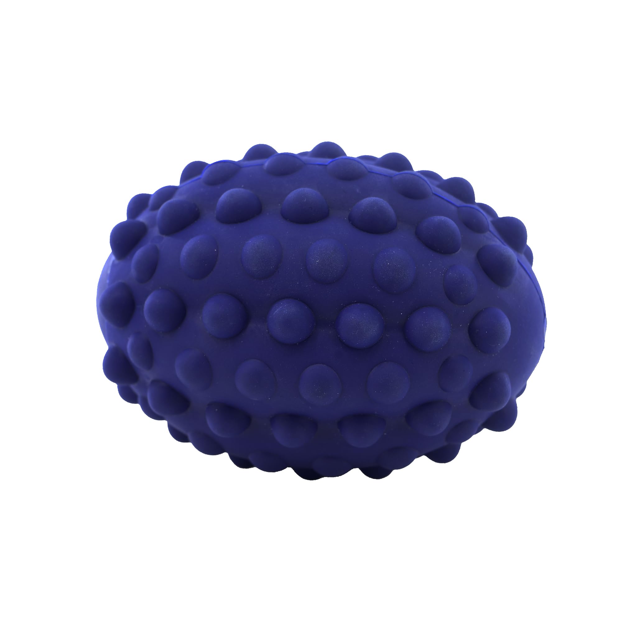 Ancol Robuster Rugbyball für Hunde, leicht, schwimmfähig, interaktiv, ungiftig, für den Außenbereich, robust, langlebig, lustig, hohe Sprungkraft, Haustier-Welpen-Apportierspielzeug